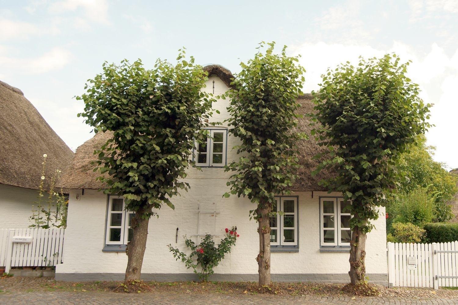 Witje Hues Villa Boldixum Bagian luar foto